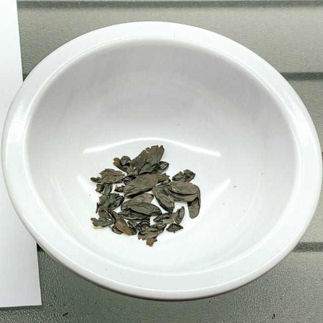 Yellow Mouse Ears Hosta Seeds (Hosta Mouse Ears) - The Lush Leaf